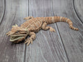 Realistic Articulating Bearded Dragon - 3D Printed