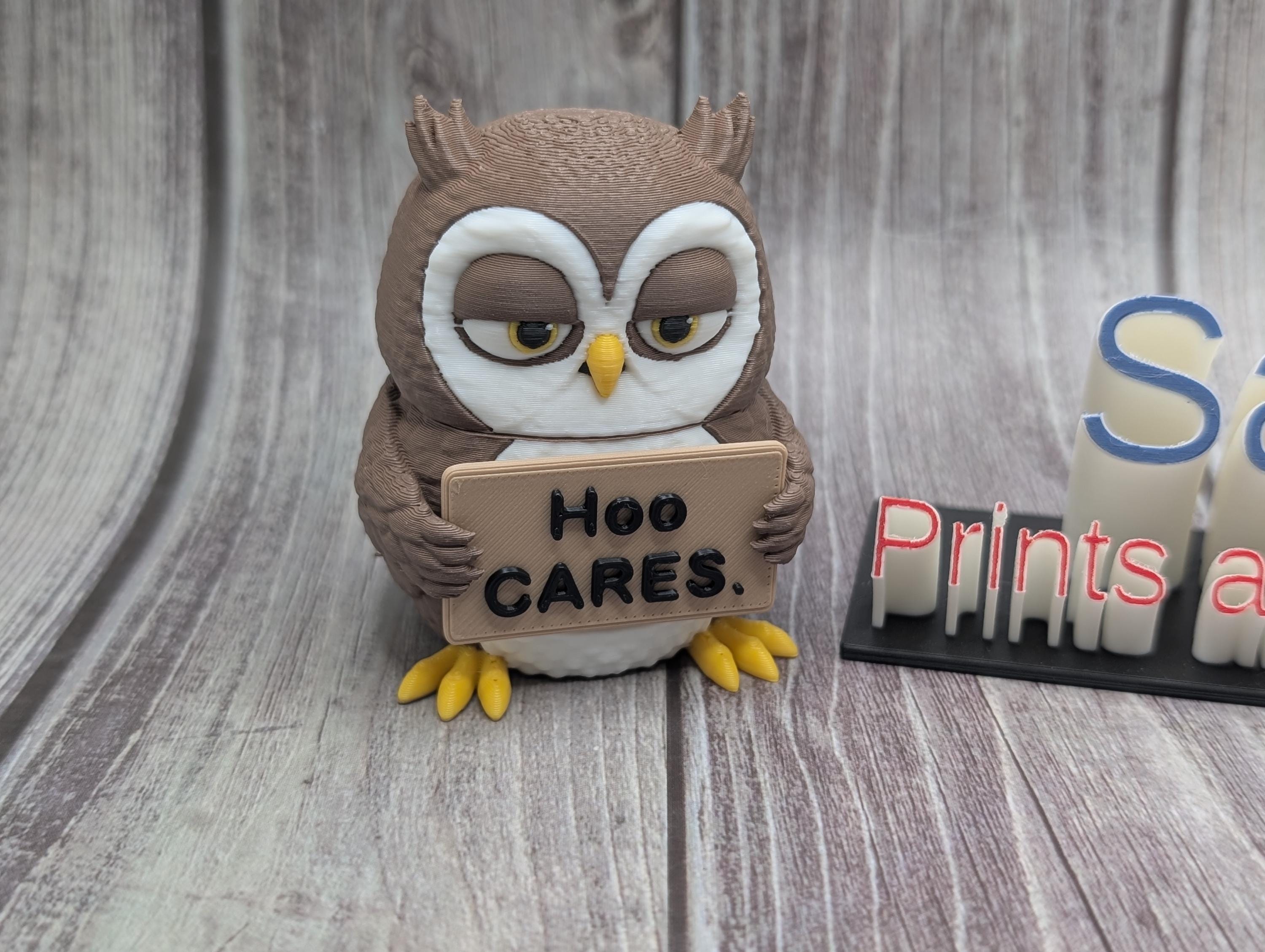 3D Printed Owl with Attitude | “Hoo Cares” Owl | Sassy Desk Decor