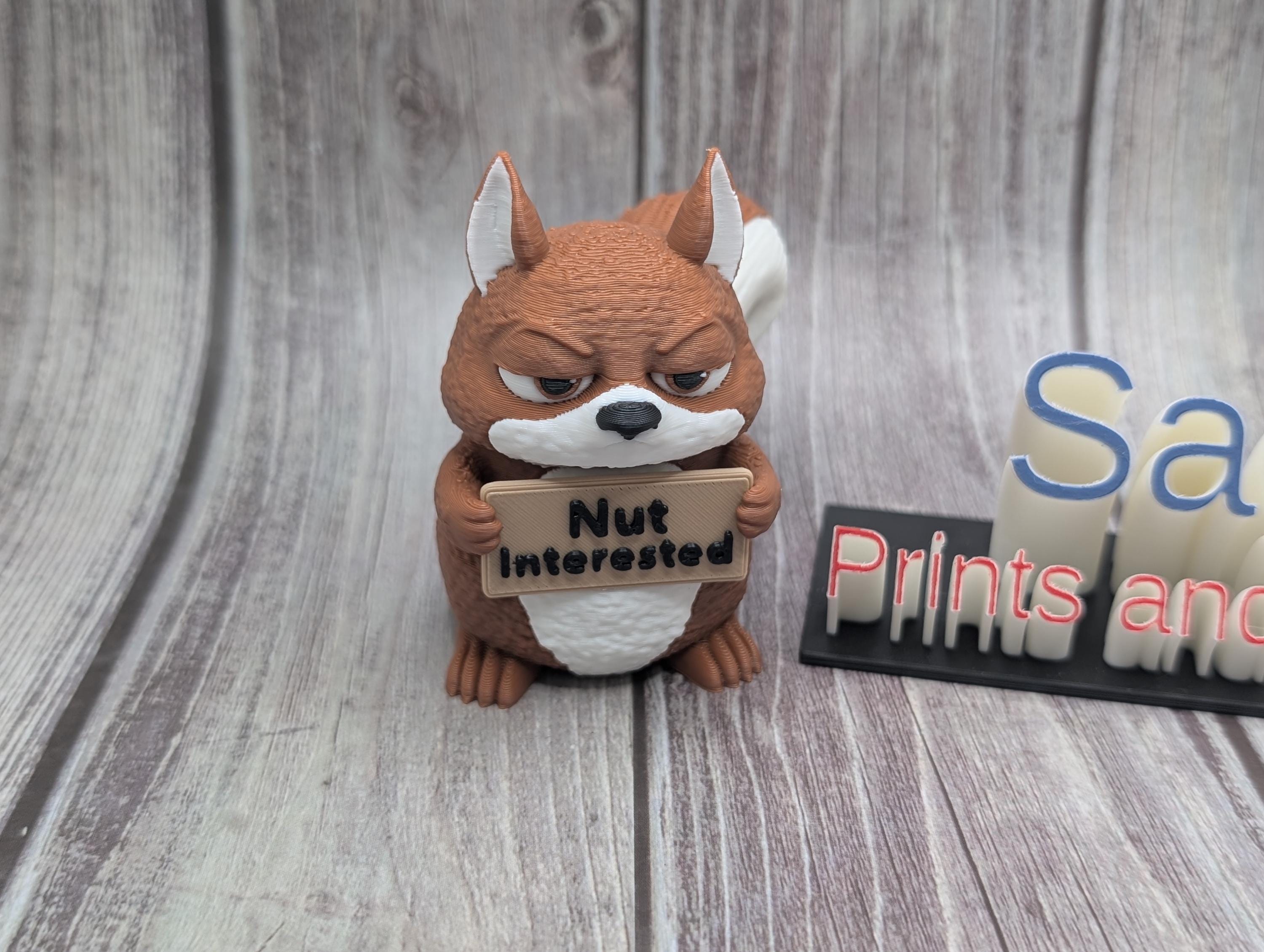 3D Printed Squirrel with Attitude | Funny Squirrel Decor | “Nut Interested”