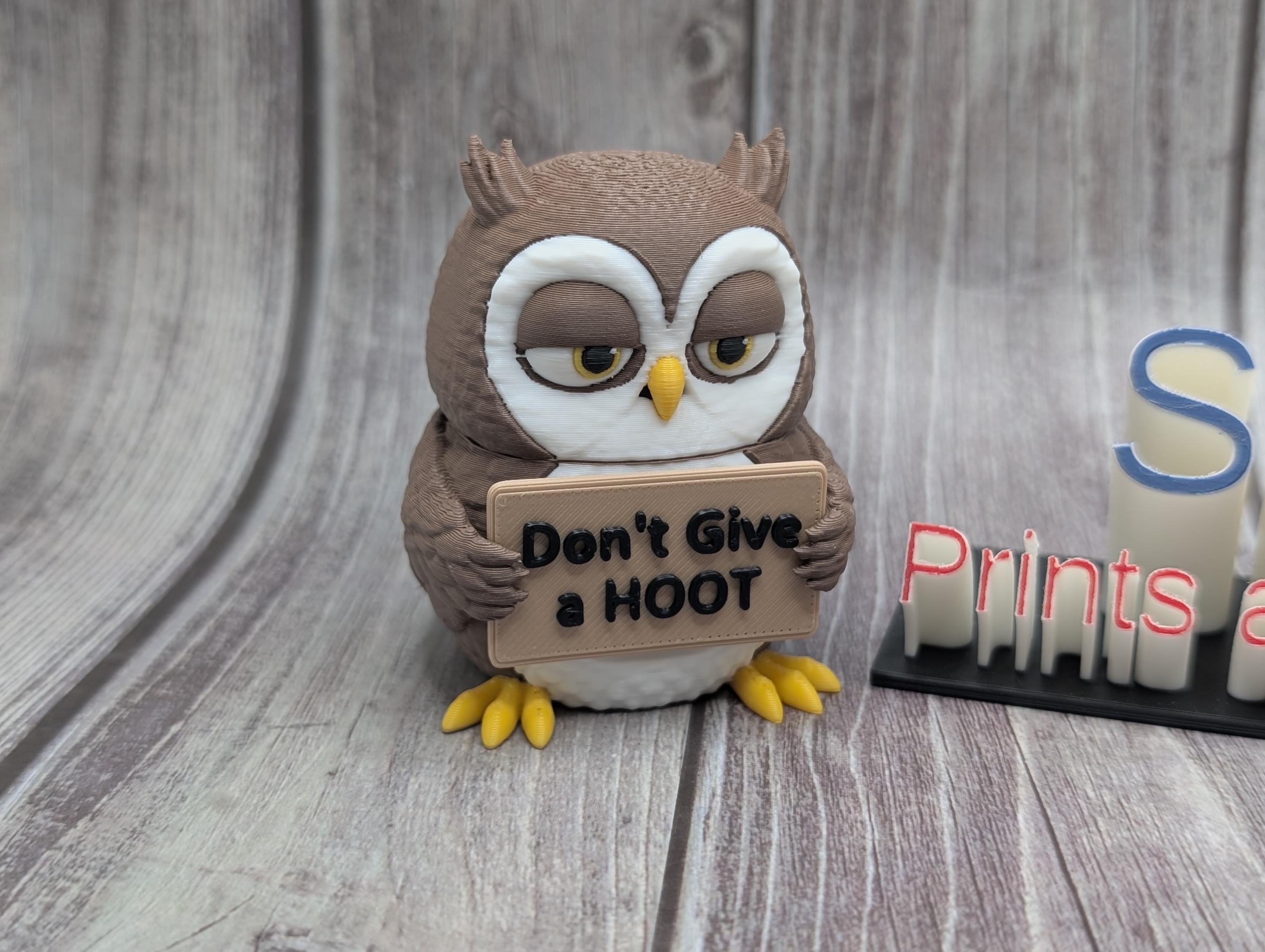 3D Printed Owl with Attitude | “Hoo Cares” Owl | Sassy Desk Decor