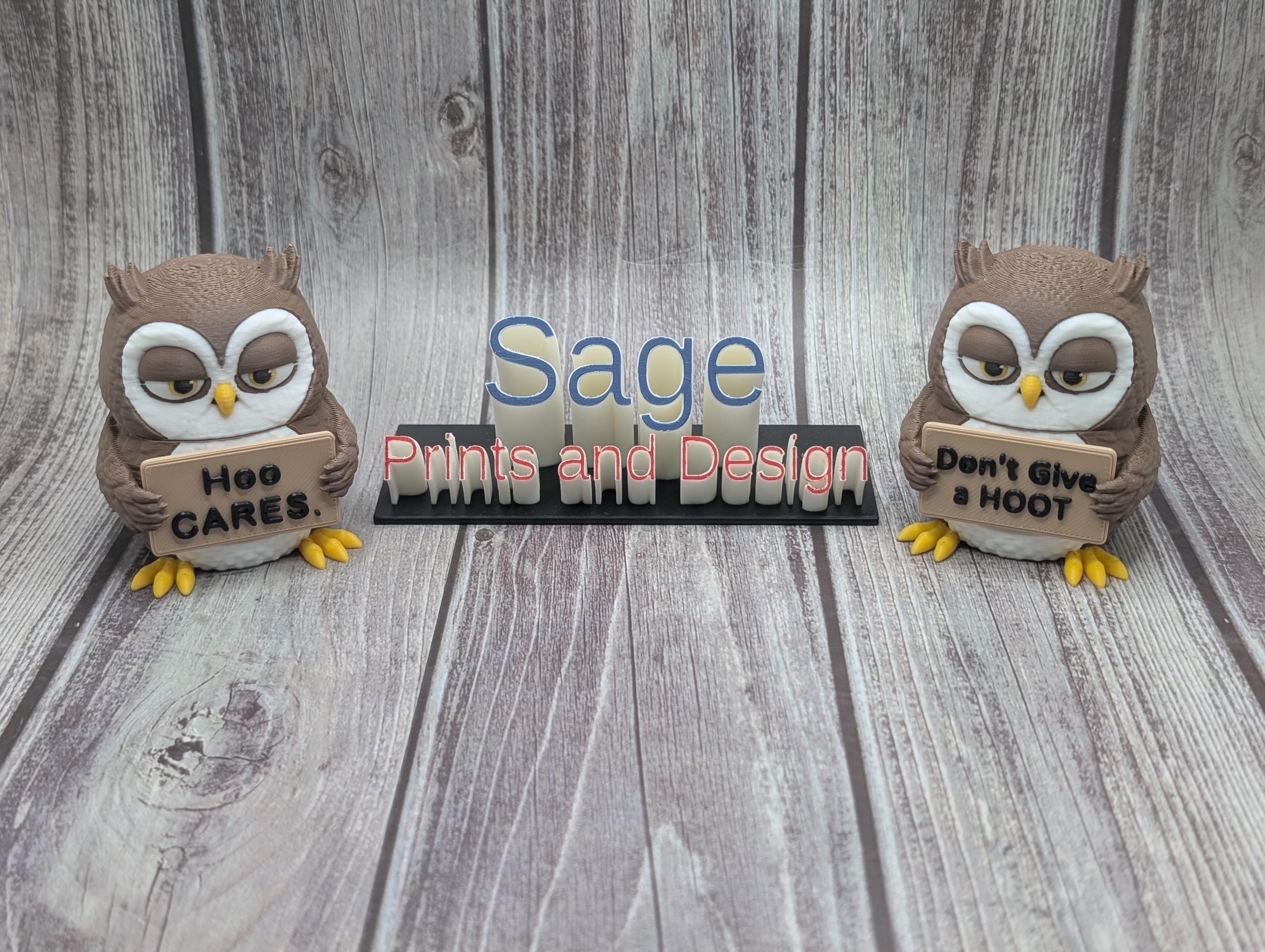 3D Printed Owl with Attitude | “Hoo Cares” Owl | Sassy Desk Decor