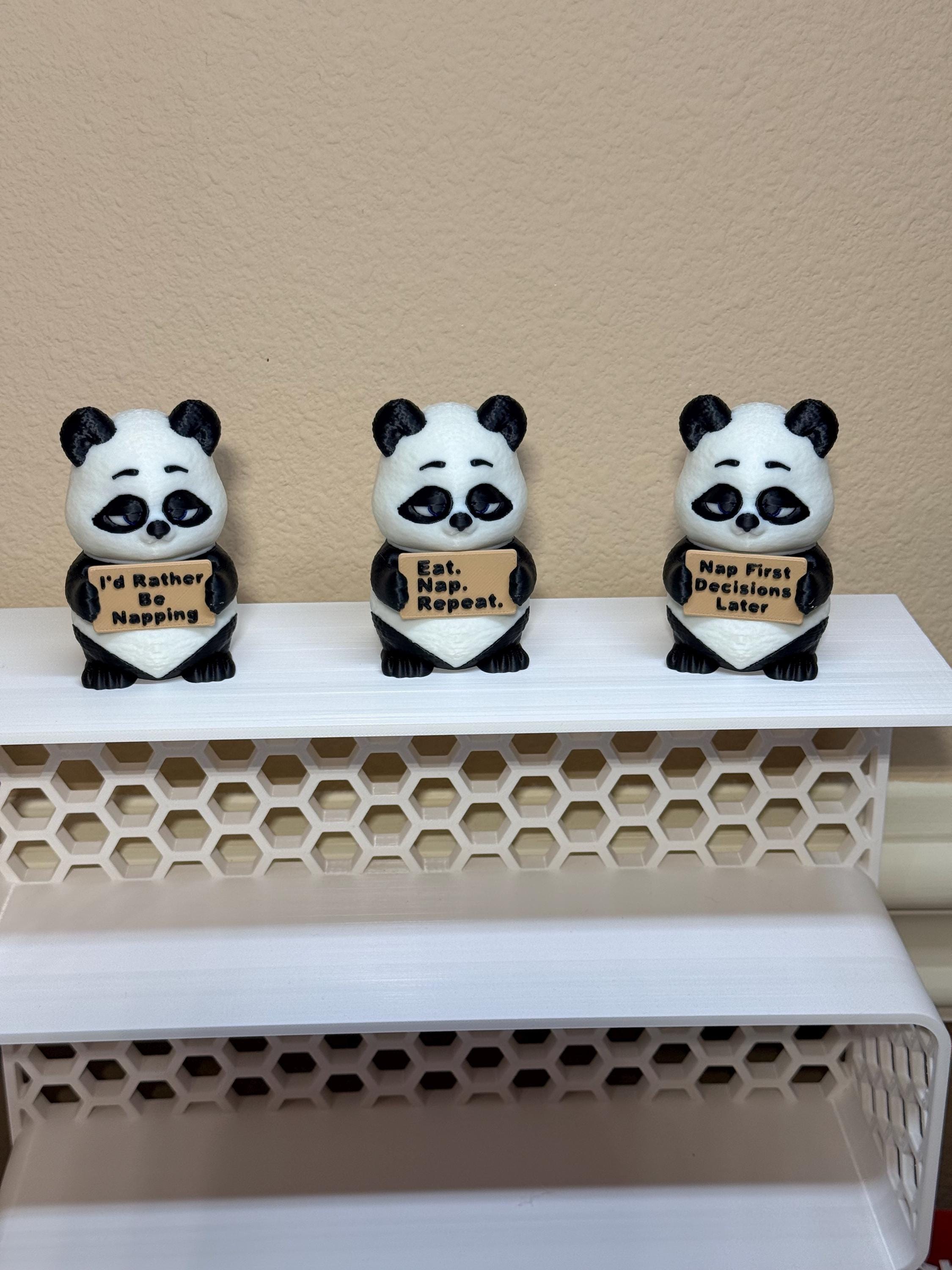 3D Printed Panda with Attitude | “Eat Nap Repeat” Panda | Funny Desk Decor