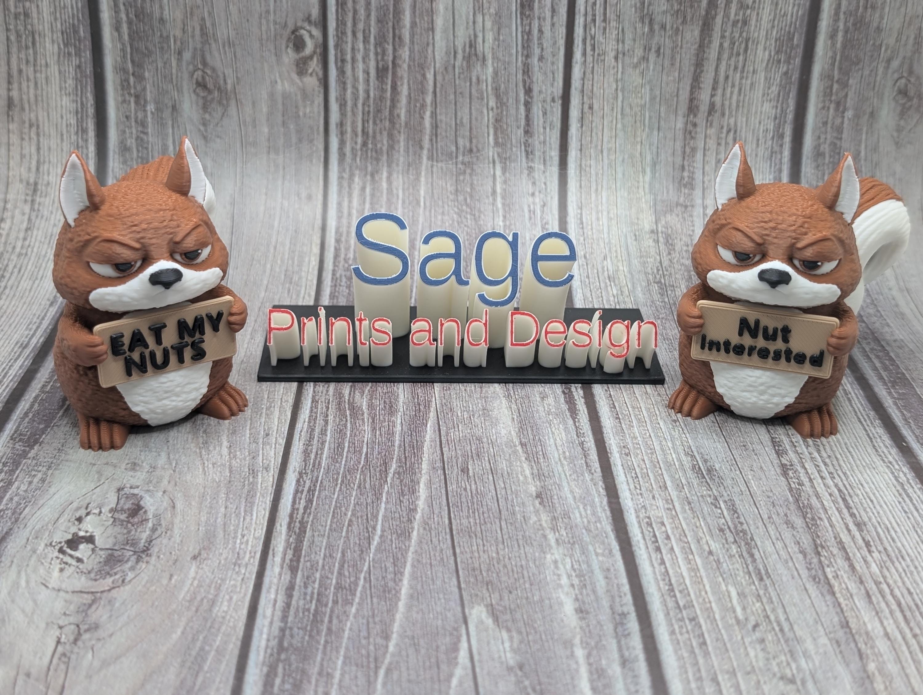 3D Printed Squirrel with Attitude | Funny Squirrel Decor | “Nut Interested”