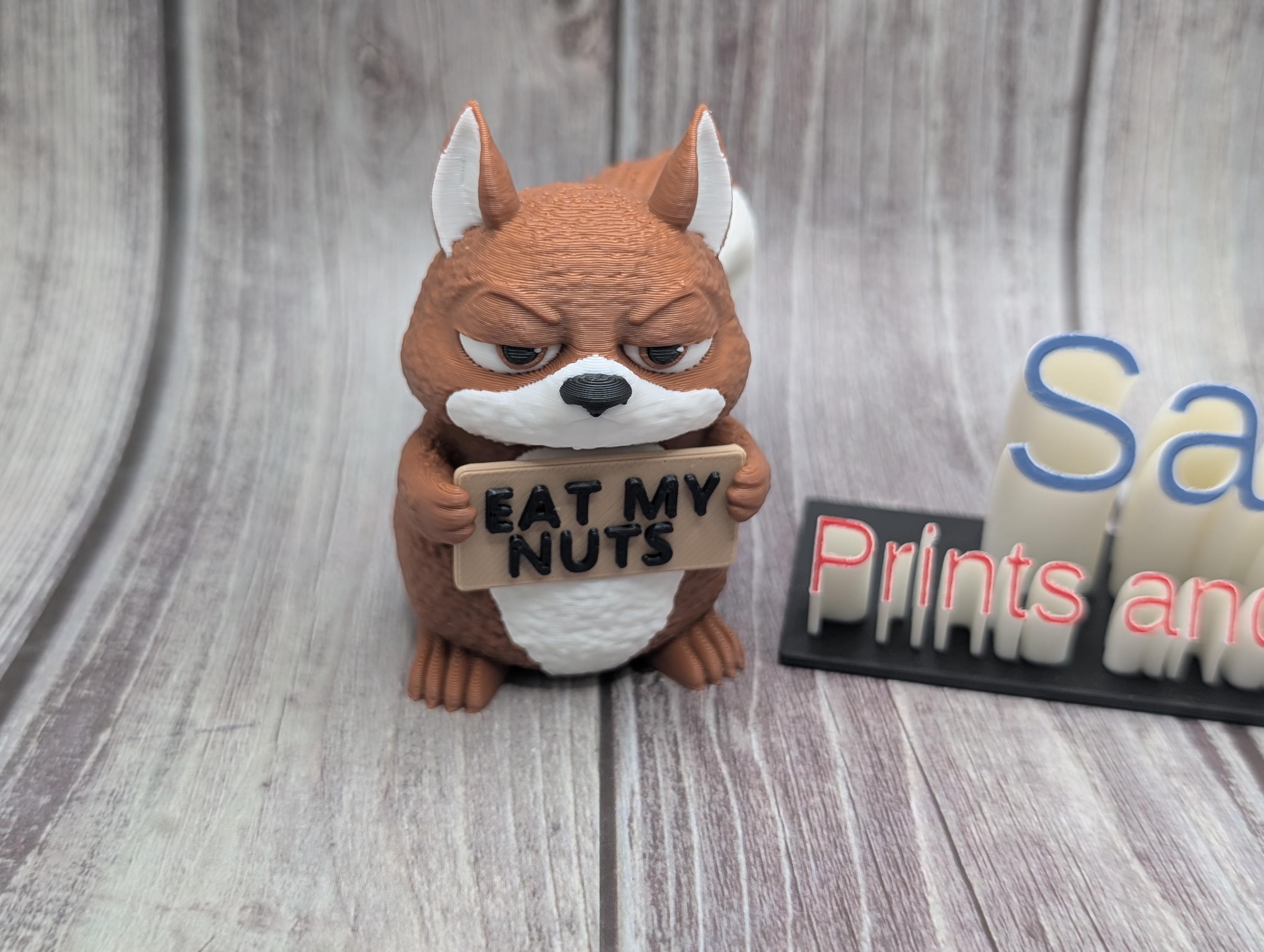 3D Printed Squirrel with Attitude | Funny Squirrel Decor | “Nut Interested”