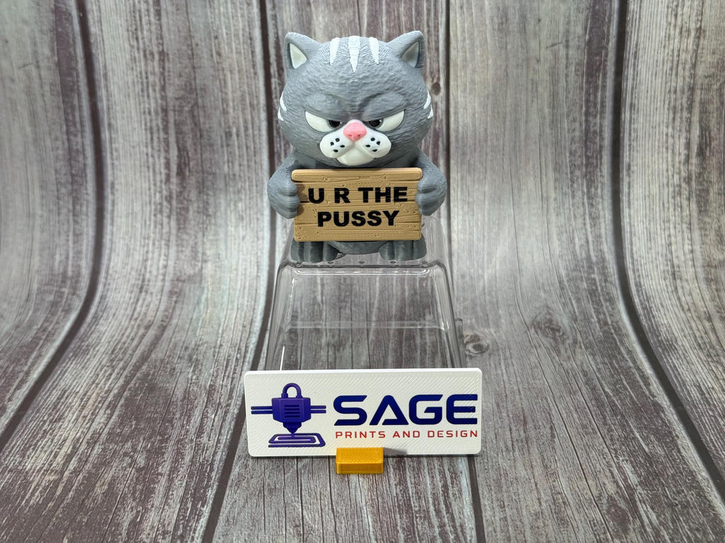 3D Printed Cat with Attitude | “I Judge You” | Sassy Desk Decor