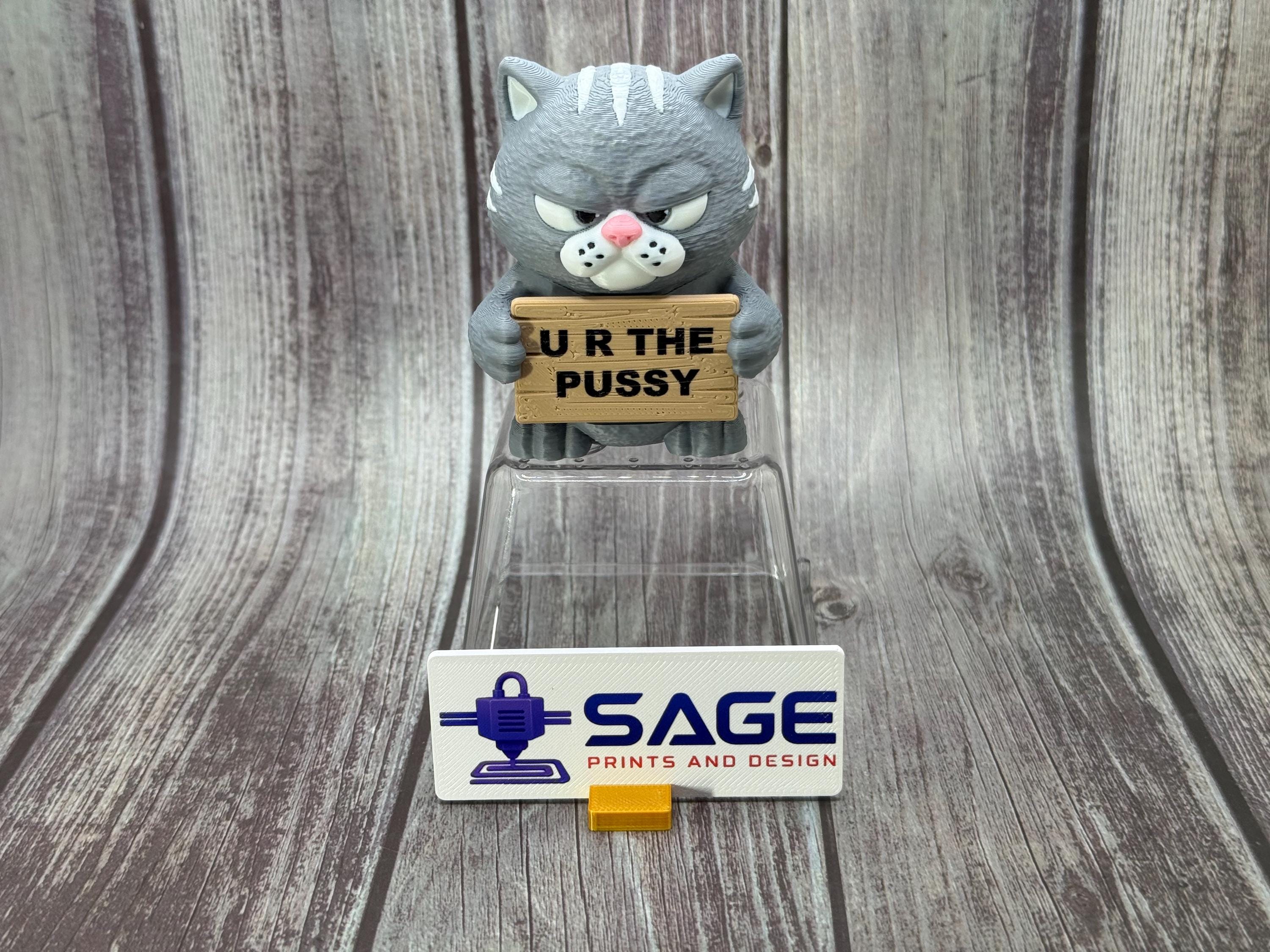 3D Printed Cat with Attitude | “I Judge You” | Sassy Desk Decor
